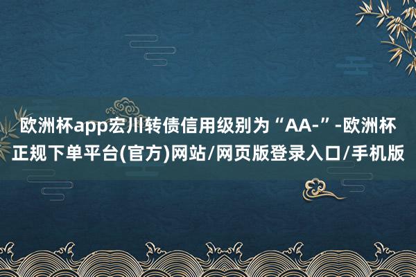 欧洲杯app宏川转债信用级别为“AA-”-欧洲杯正规下单平台(官方)网站/网页版登录入口/手机版