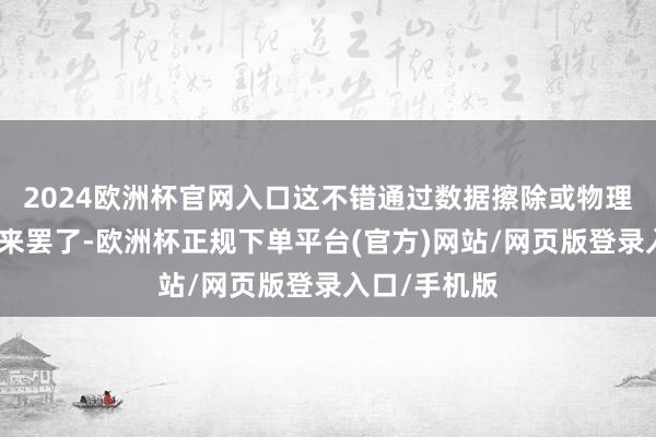 2024欧洲杯官网入口这不错通过数据擦除或物理殉国行状器来罢了-欧洲杯正规下单平台(官方)网站/网页版登录入口/手机版