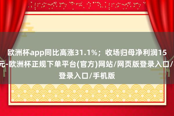 欧洲杯app同比高涨31.1%；收场归母净利润15.83亿元-欧洲杯正规下单平台(官方)网站/网页版登录入口/手机版