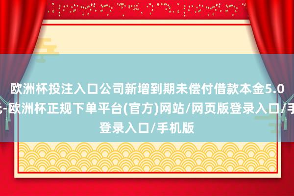 欧洲杯投注入口公司新增到期未偿付借款本金5.06亿元-欧洲杯正规下单平台(官方)网站/网页版登录入口/手机版