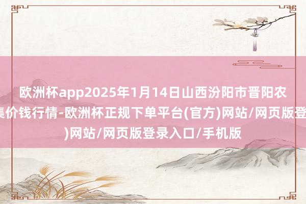 欧洲杯app2025年1月14日山西汾阳市晋阳农副居品批发市集价钱行情-欧洲杯正规下单平台(官方)网站/网页版登录入口/手机版